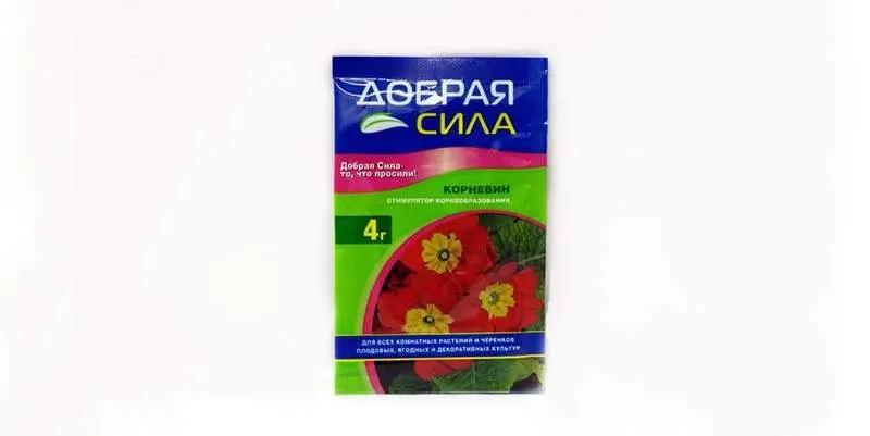 Корневин стимулятор корнеобразования